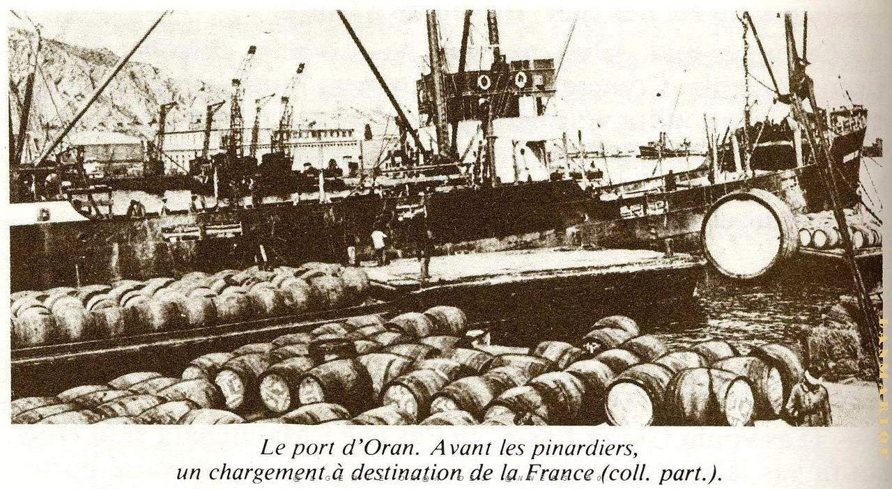 PO e- 368.JPG